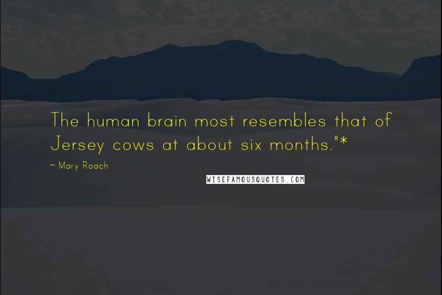 Mary Roach Quotes: The human brain most resembles that of Jersey cows at about six months."*