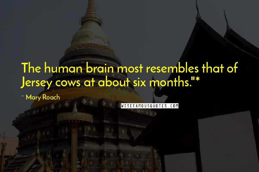 Mary Roach Quotes: The human brain most resembles that of Jersey cows at about six months."*