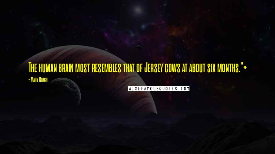 Mary Roach Quotes: The human brain most resembles that of Jersey cows at about six months."*