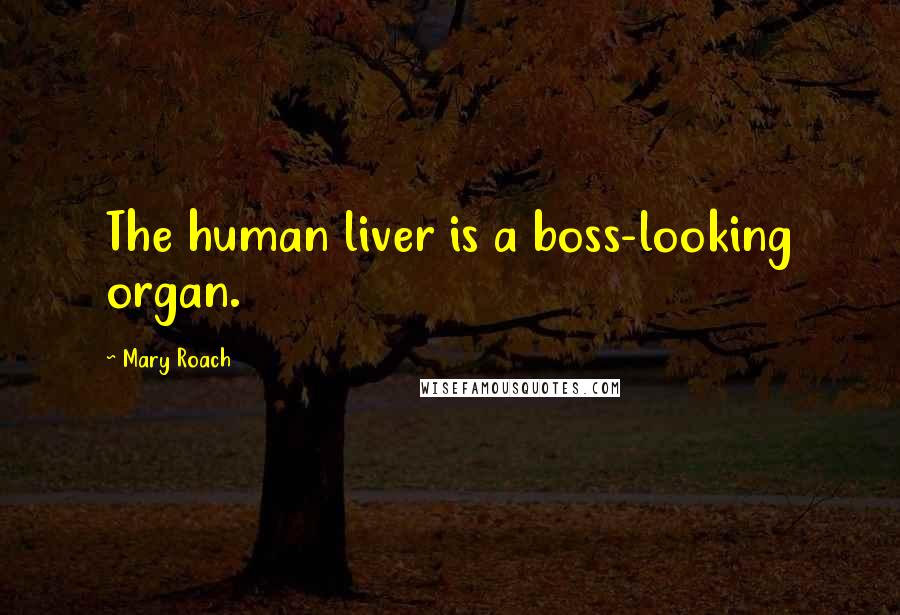 Mary Roach Quotes: The human liver is a boss-looking organ.