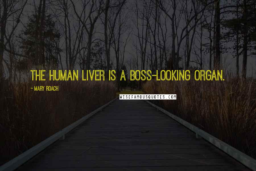 Mary Roach Quotes: The human liver is a boss-looking organ.