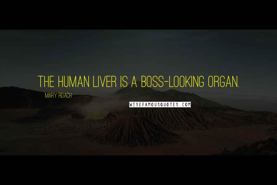 Mary Roach Quotes: The human liver is a boss-looking organ.