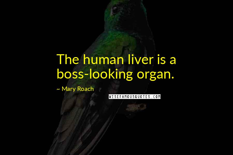 Mary Roach Quotes: The human liver is a boss-looking organ.