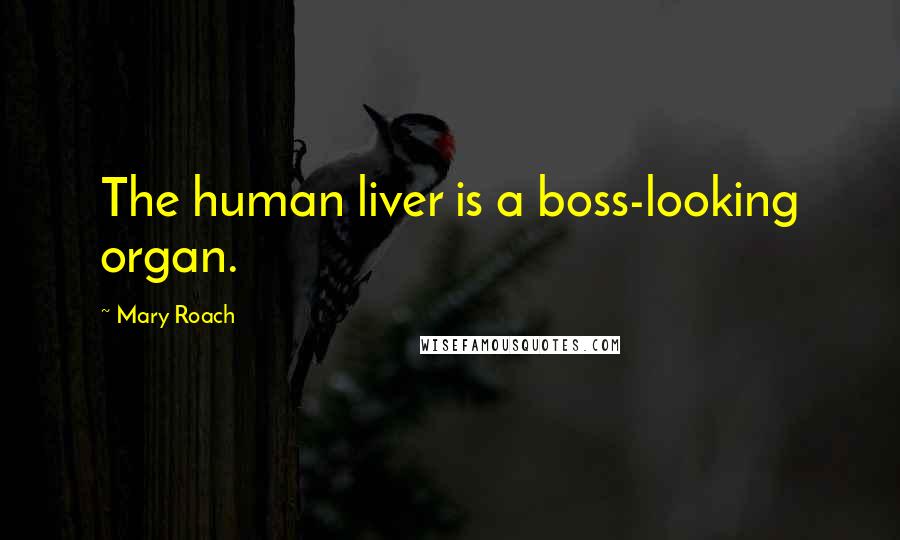 Mary Roach Quotes: The human liver is a boss-looking organ.