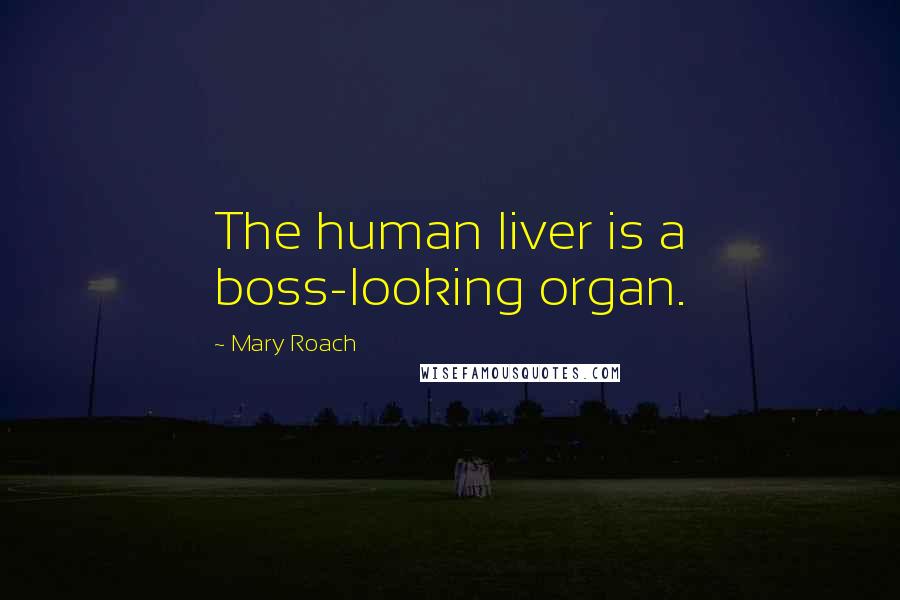 Mary Roach Quotes: The human liver is a boss-looking organ.