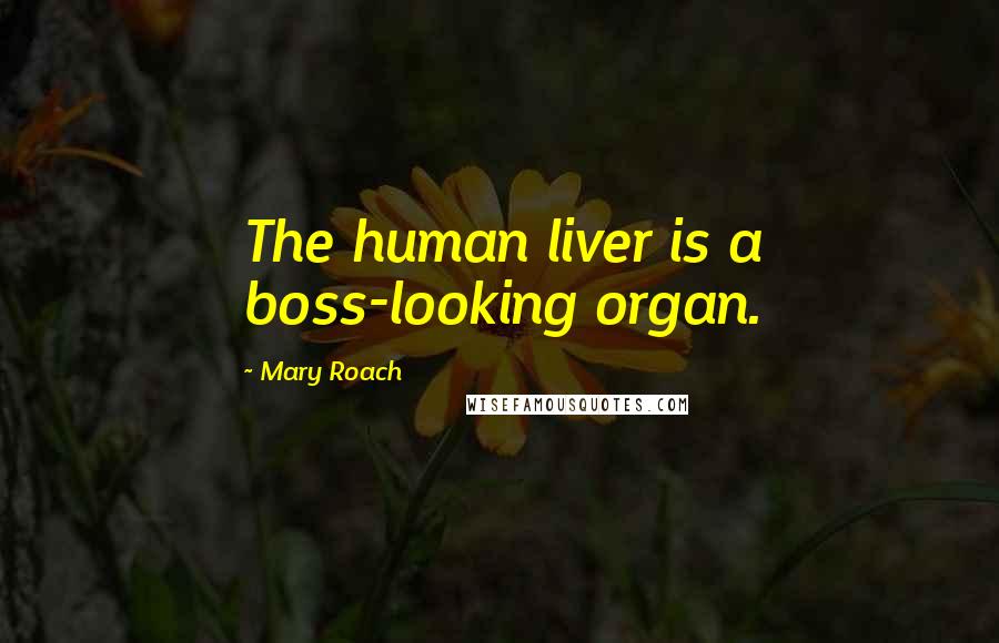 Mary Roach Quotes: The human liver is a boss-looking organ.