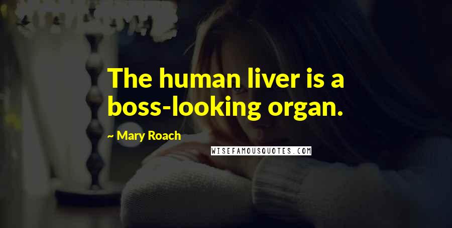 Mary Roach Quotes: The human liver is a boss-looking organ.