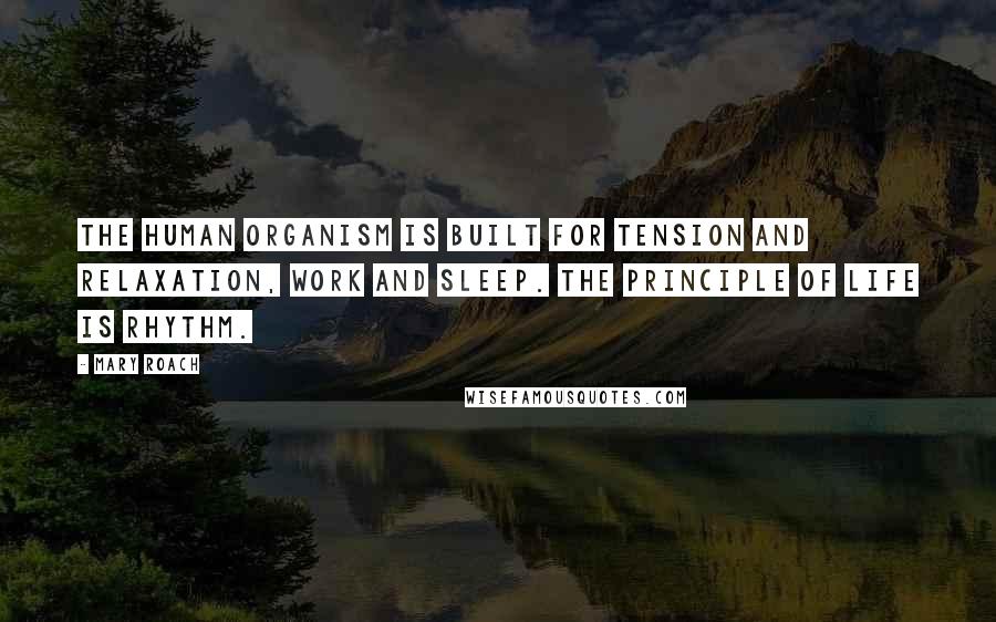 Mary Roach Quotes: The human organism is built for tension and relaxation, work and sleep. The principle of life is rhythm.