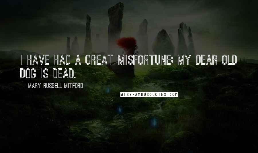 Mary Russell Mitford Quotes: I have had a great misfortune; my dear old dog is dead.