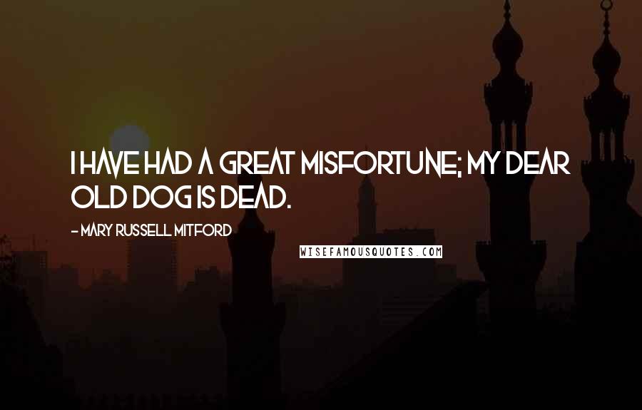 Mary Russell Mitford Quotes: I have had a great misfortune; my dear old dog is dead.