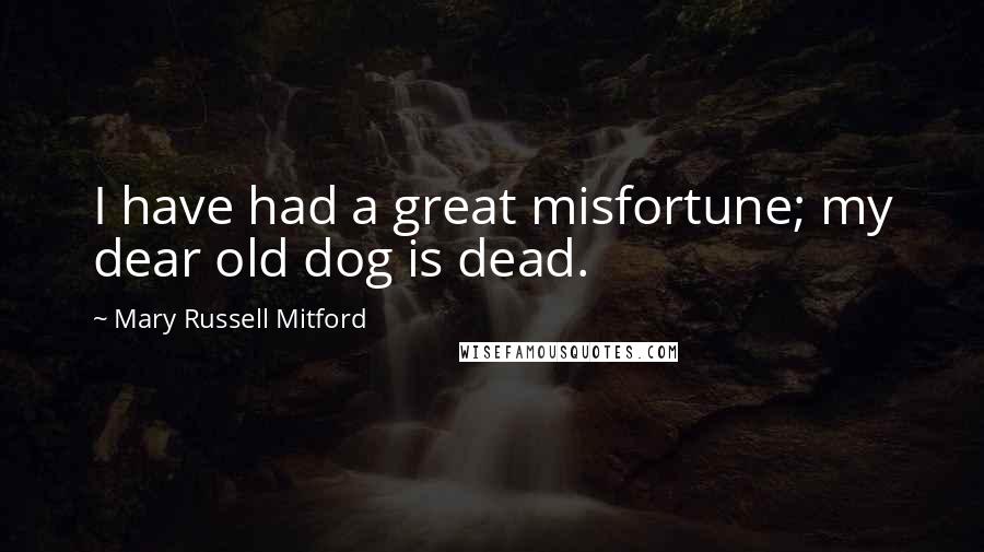 Mary Russell Mitford Quotes: I have had a great misfortune; my dear old dog is dead.