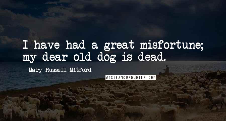 Mary Russell Mitford Quotes: I have had a great misfortune; my dear old dog is dead.