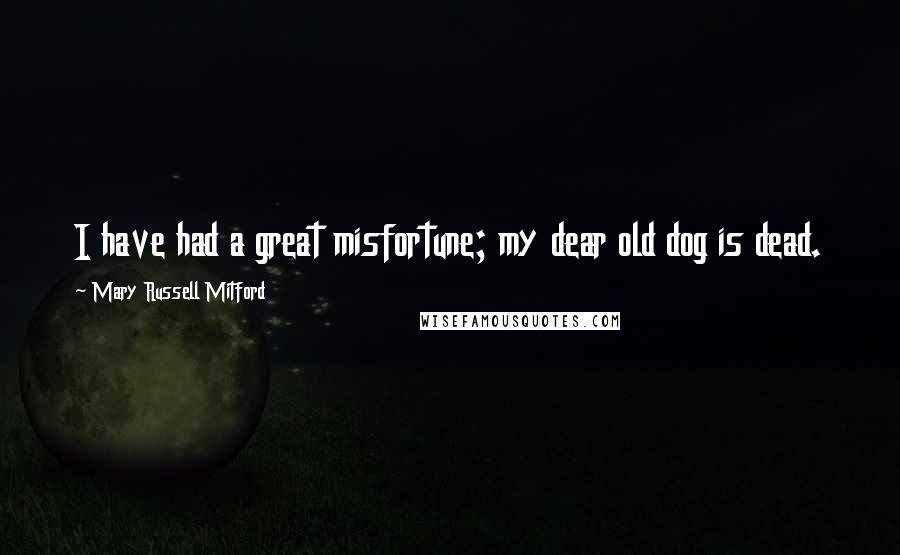 Mary Russell Mitford Quotes: I have had a great misfortune; my dear old dog is dead.