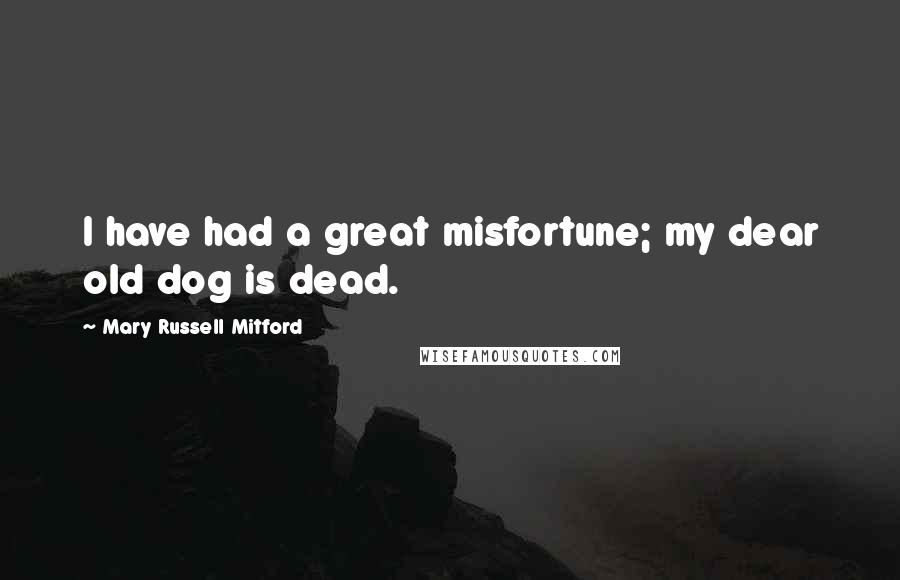 Mary Russell Mitford Quotes: I have had a great misfortune; my dear old dog is dead.