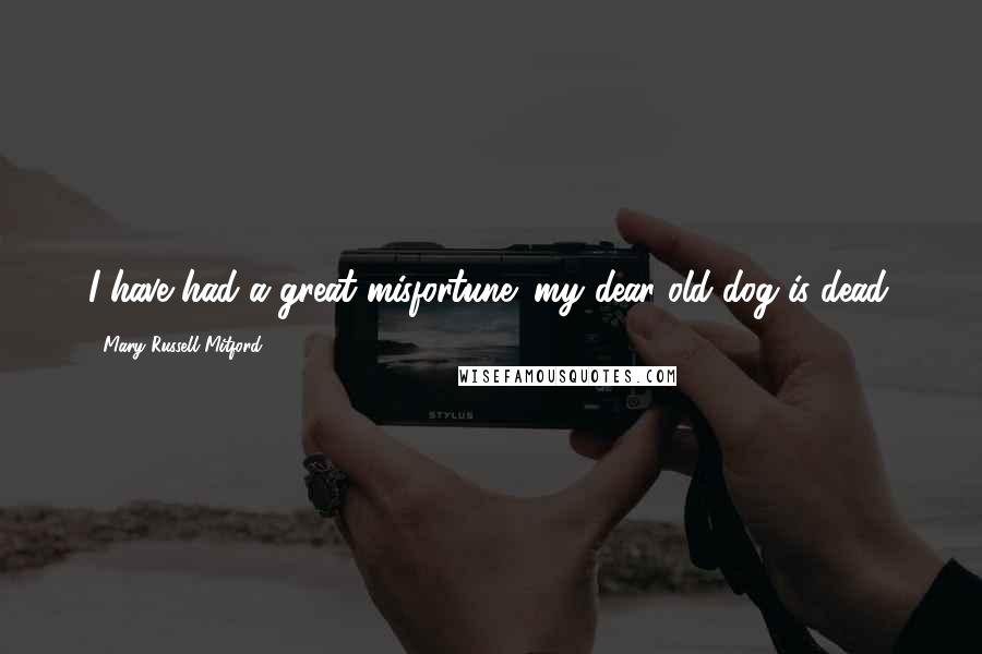 Mary Russell Mitford Quotes: I have had a great misfortune; my dear old dog is dead.