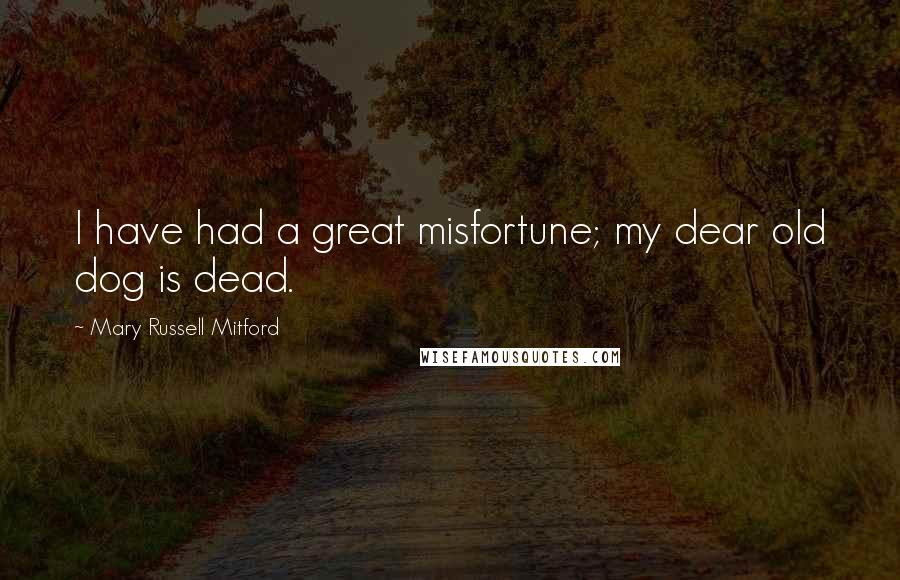Mary Russell Mitford Quotes: I have had a great misfortune; my dear old dog is dead.