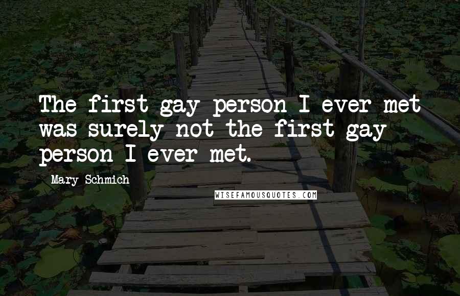 Mary Schmich Quotes: The first gay person I ever met was surely not the first gay person I ever met.