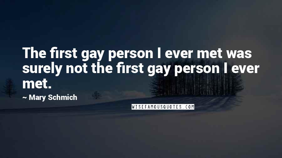 Mary Schmich Quotes: The first gay person I ever met was surely not the first gay person I ever met.