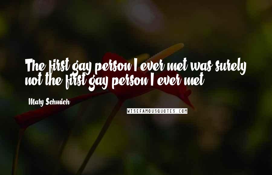 Mary Schmich Quotes: The first gay person I ever met was surely not the first gay person I ever met.