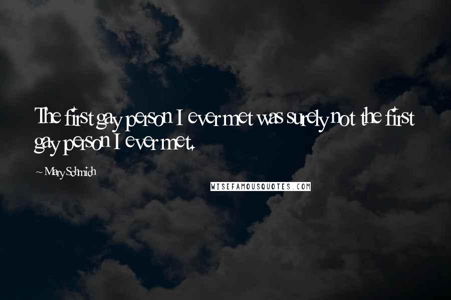 Mary Schmich Quotes: The first gay person I ever met was surely not the first gay person I ever met.