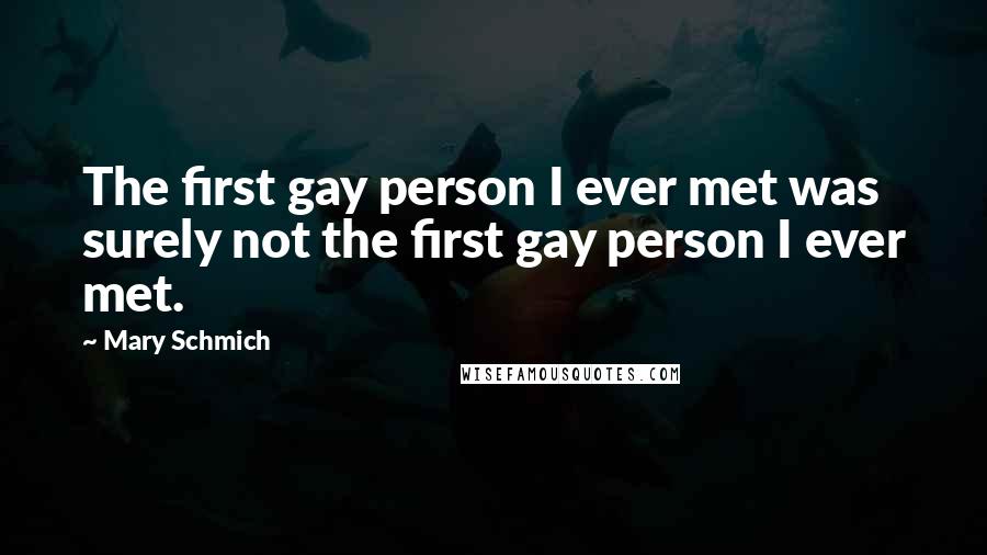 Mary Schmich Quotes: The first gay person I ever met was surely not the first gay person I ever met.