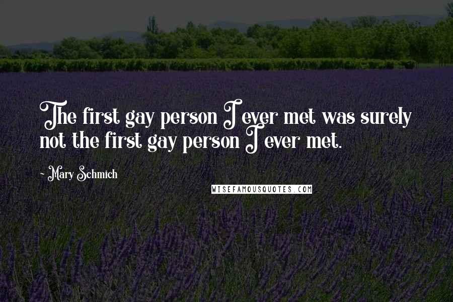 Mary Schmich Quotes: The first gay person I ever met was surely not the first gay person I ever met.