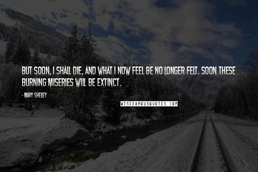 Mary Shelley Quotes: But soon, I shall die, and what I now feel be no longer felt. Soon these burning miseries will be extinct.