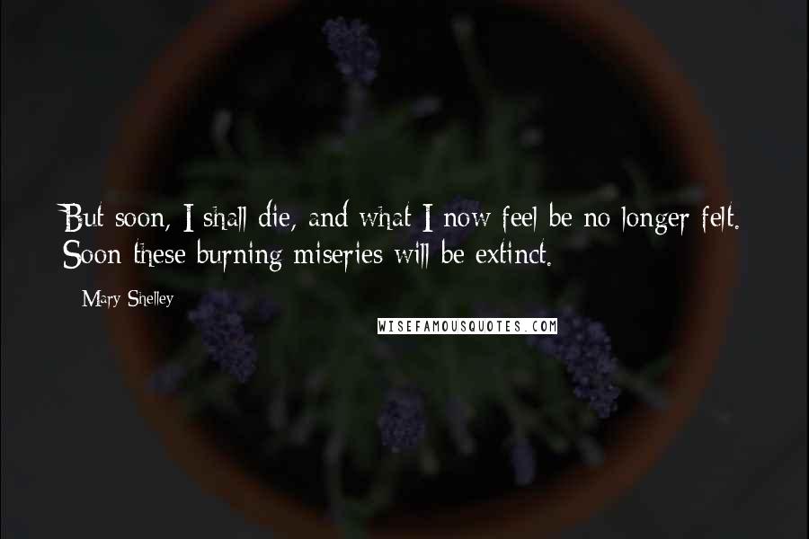 Mary Shelley Quotes: But soon, I shall die, and what I now feel be no longer felt. Soon these burning miseries will be extinct.