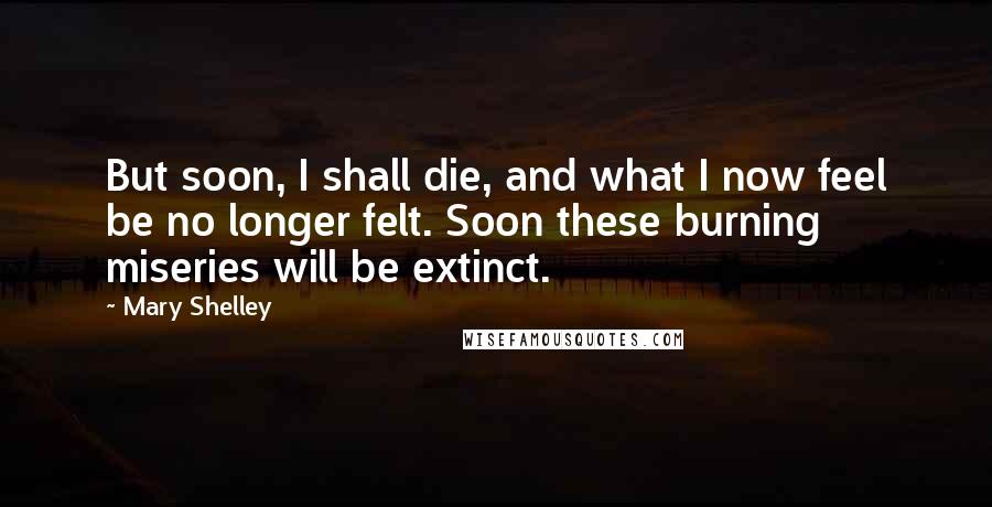 Mary Shelley Quotes: But soon, I shall die, and what I now feel be no longer felt. Soon these burning miseries will be extinct.