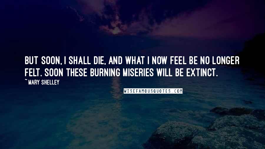 Mary Shelley Quotes: But soon, I shall die, and what I now feel be no longer felt. Soon these burning miseries will be extinct.