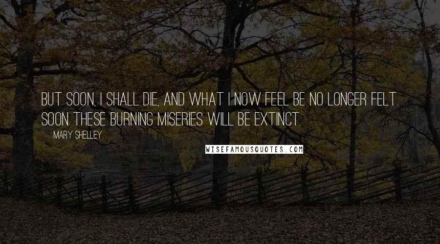 Mary Shelley Quotes: But soon, I shall die, and what I now feel be no longer felt. Soon these burning miseries will be extinct.