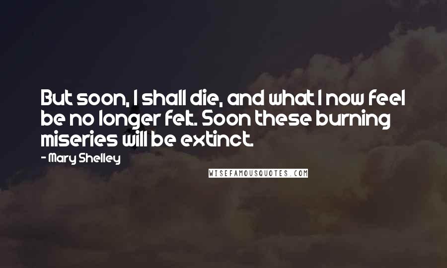 Mary Shelley Quotes: But soon, I shall die, and what I now feel be no longer felt. Soon these burning miseries will be extinct.