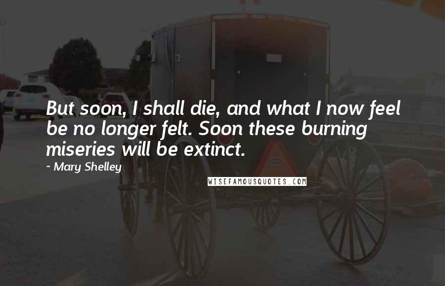 Mary Shelley Quotes: But soon, I shall die, and what I now feel be no longer felt. Soon these burning miseries will be extinct.