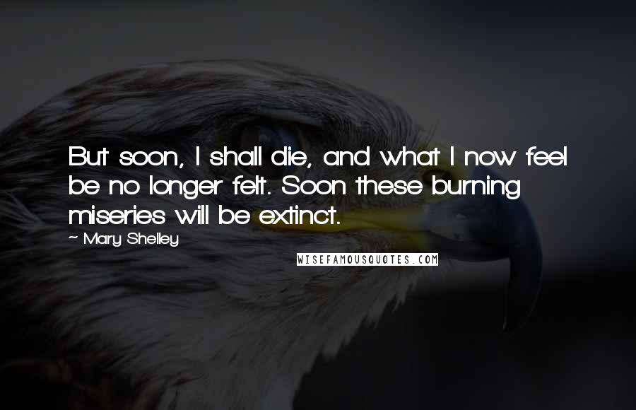 Mary Shelley Quotes: But soon, I shall die, and what I now feel be no longer felt. Soon these burning miseries will be extinct.