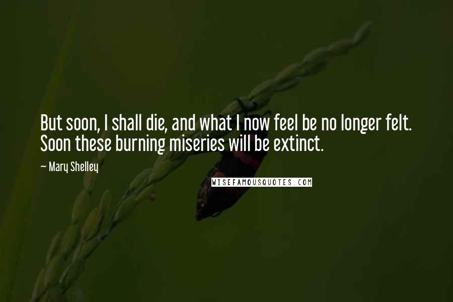Mary Shelley Quotes: But soon, I shall die, and what I now feel be no longer felt. Soon these burning miseries will be extinct.