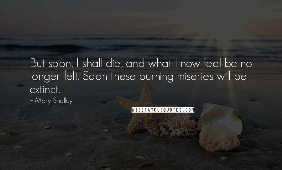 Mary Shelley Quotes: But soon, I shall die, and what I now feel be no longer felt. Soon these burning miseries will be extinct.