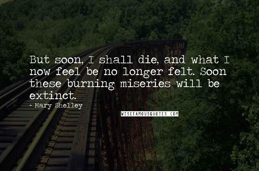 Mary Shelley Quotes: But soon, I shall die, and what I now feel be no longer felt. Soon these burning miseries will be extinct.