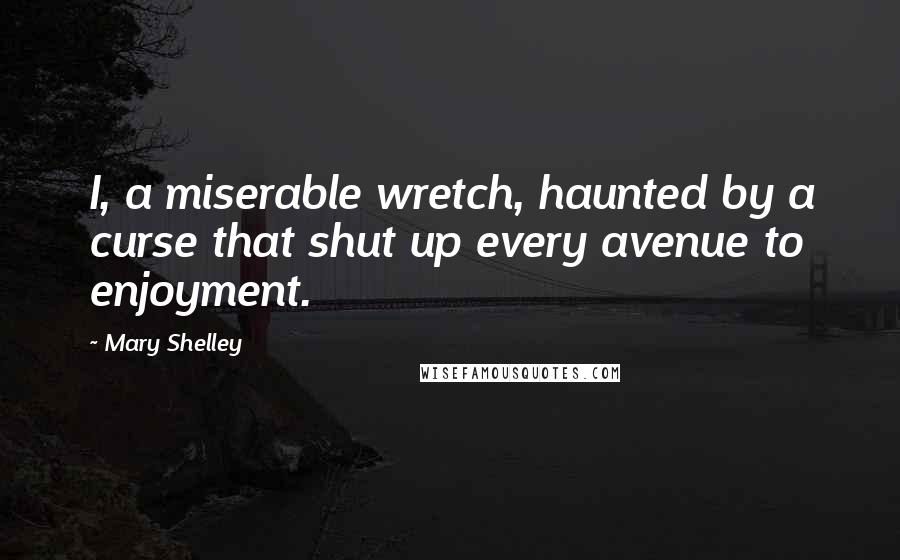 Mary Shelley Quotes: I, a miserable wretch, haunted by a curse that shut up every avenue to enjoyment.