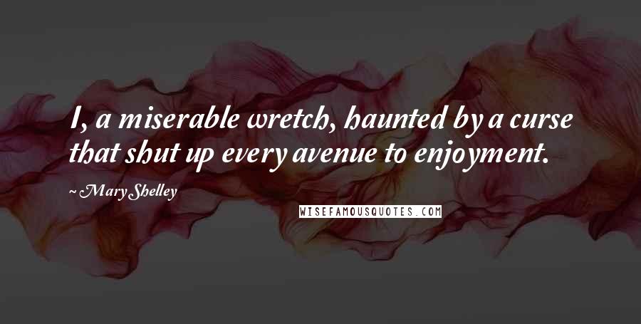 Mary Shelley Quotes: I, a miserable wretch, haunted by a curse that shut up every avenue to enjoyment.