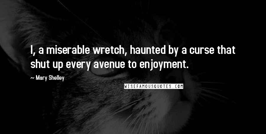 Mary Shelley Quotes: I, a miserable wretch, haunted by a curse that shut up every avenue to enjoyment.