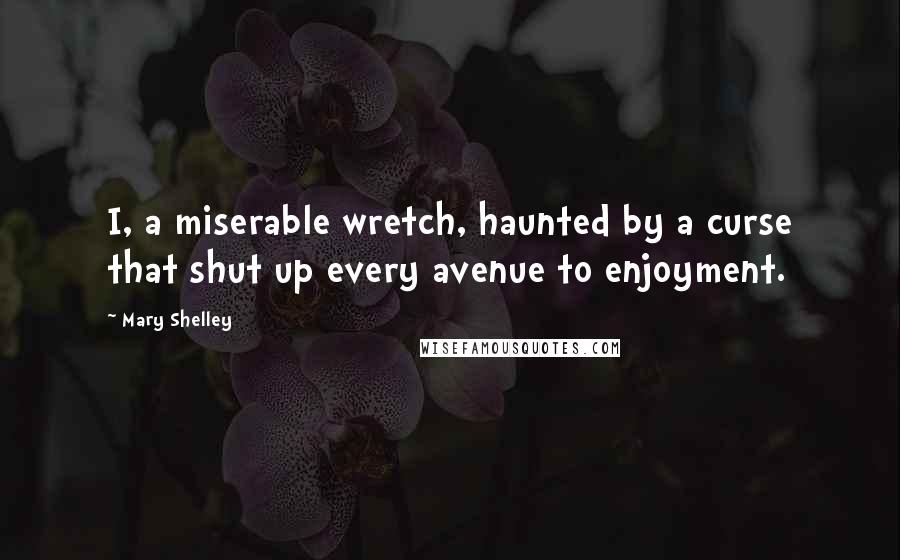 Mary Shelley Quotes: I, a miserable wretch, haunted by a curse that shut up every avenue to enjoyment.