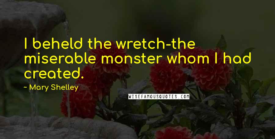 Mary Shelley Quotes: I beheld the wretch-the miserable monster whom I had created.