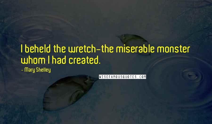 Mary Shelley Quotes: I beheld the wretch-the miserable monster whom I had created.