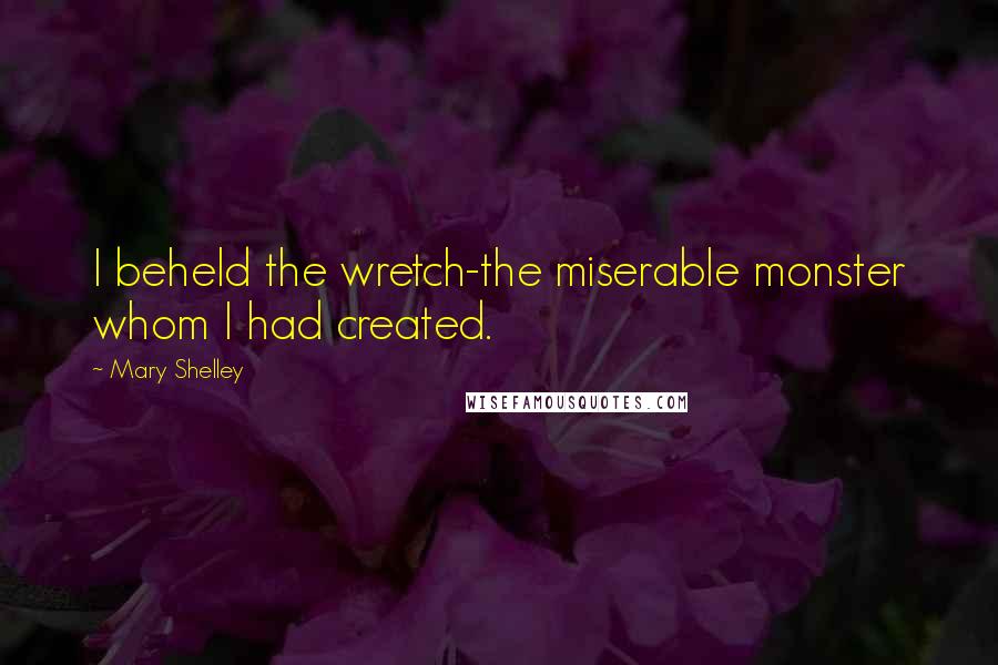 Mary Shelley Quotes: I beheld the wretch-the miserable monster whom I had created.