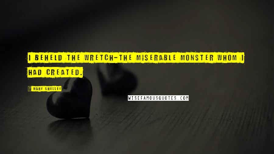 Mary Shelley Quotes: I beheld the wretch-the miserable monster whom I had created.