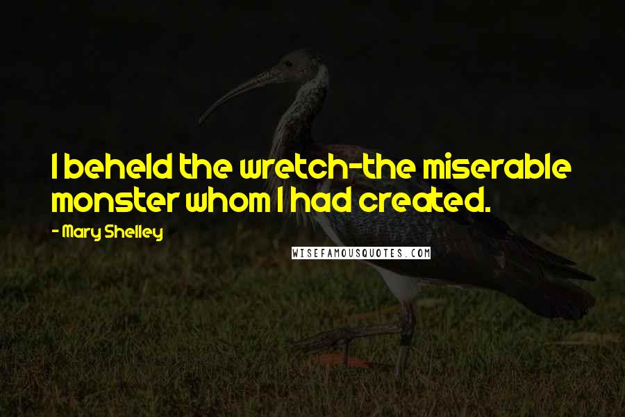 Mary Shelley Quotes: I beheld the wretch-the miserable monster whom I had created.