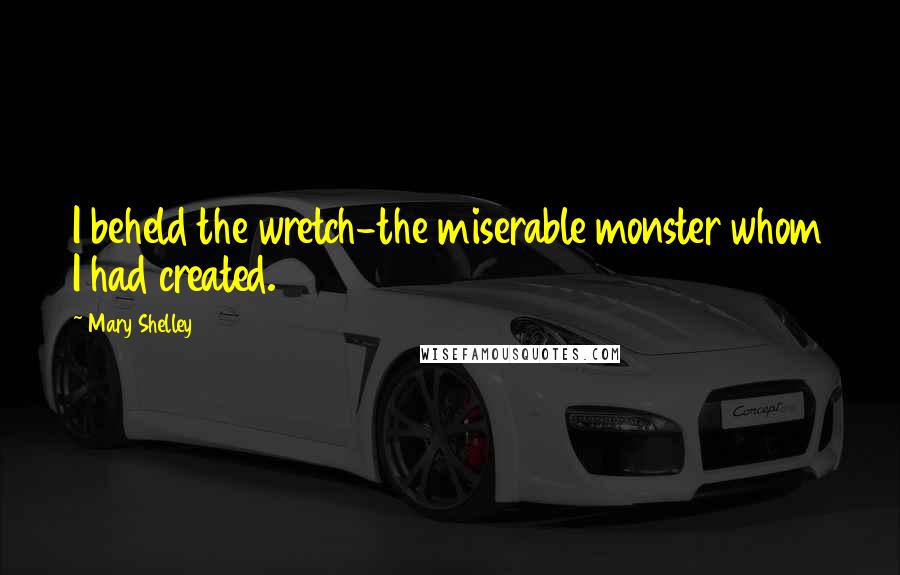 Mary Shelley Quotes: I beheld the wretch-the miserable monster whom I had created.