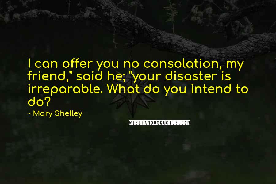 Mary Shelley Quotes: I can offer you no consolation, my friend," said he; "your disaster is irreparable. What do you intend to do?