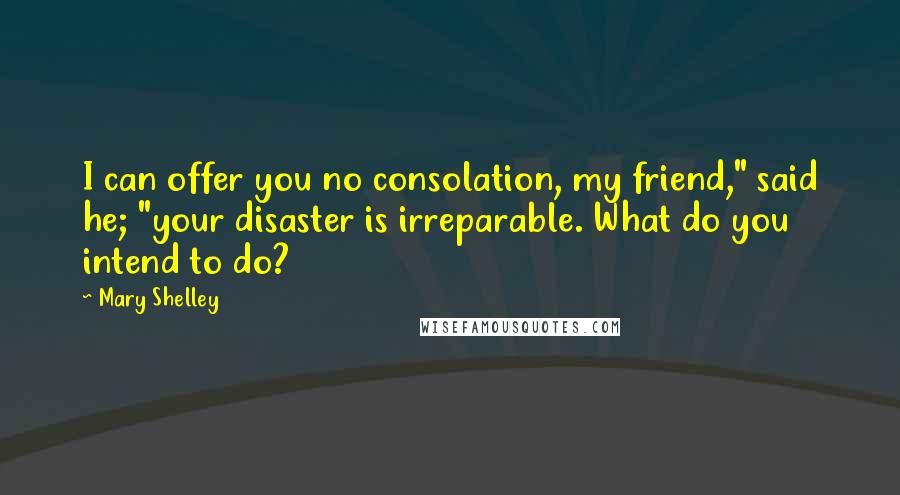 Mary Shelley Quotes: I can offer you no consolation, my friend," said he; "your disaster is irreparable. What do you intend to do?