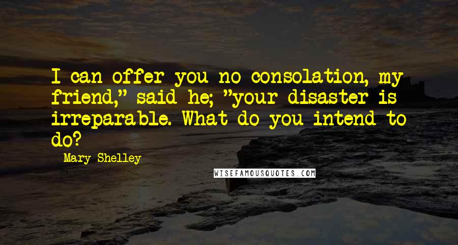 Mary Shelley Quotes: I can offer you no consolation, my friend," said he; "your disaster is irreparable. What do you intend to do?